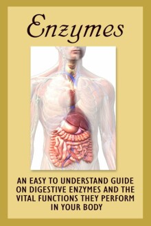 Easy To Understand Guide On Digestive Enzymes